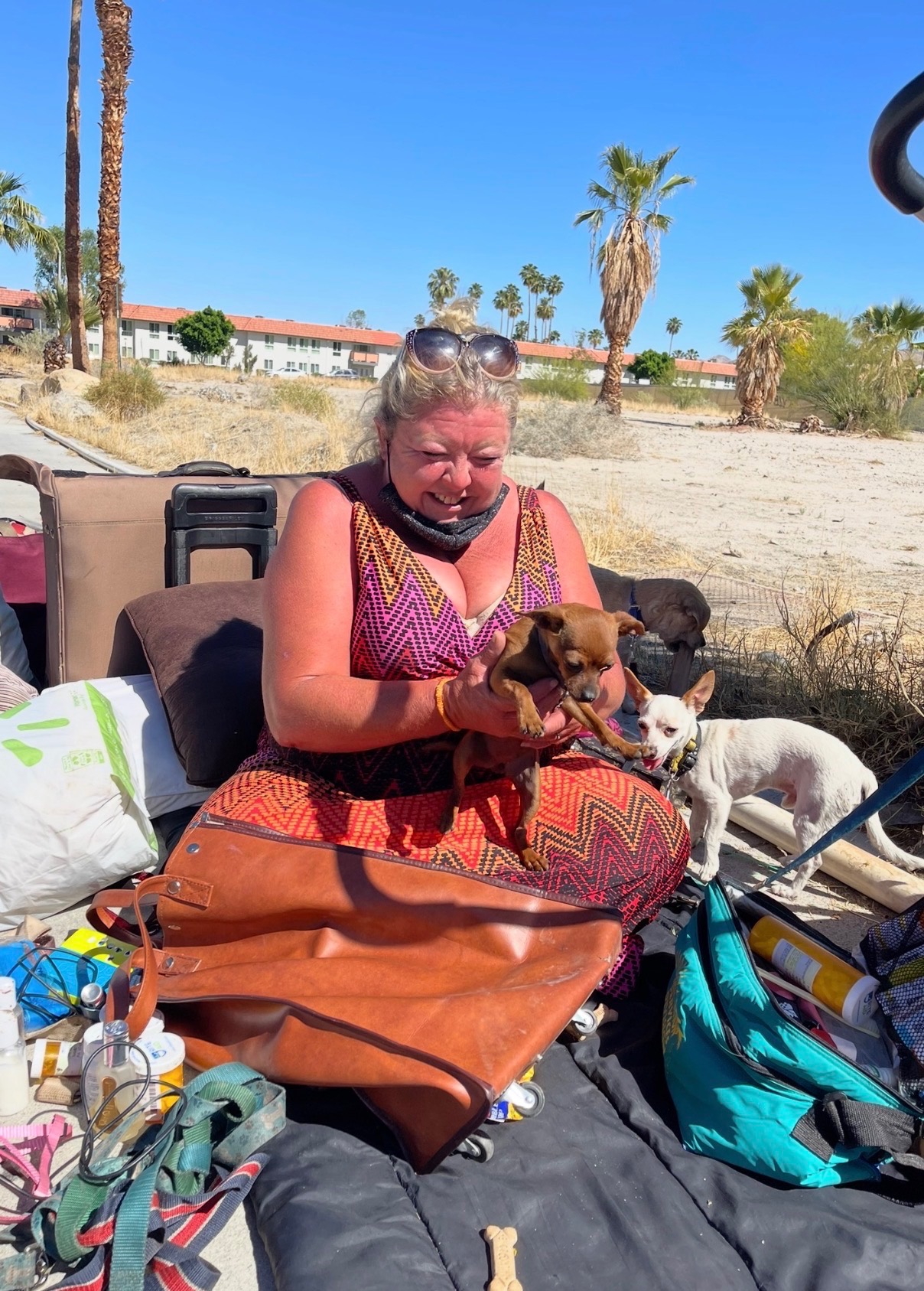 Twyla and her dogs